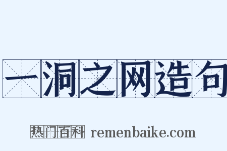 一洞之网造句是什么意思的图片